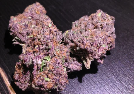 Purple Sapphire Marijuana Strain